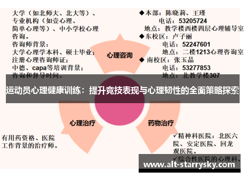 运动员心理健康训练：提升竞技表现与心理韧性的全面策略探索
