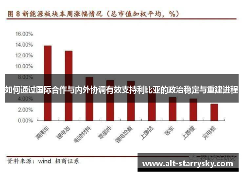 如何通过国际合作与内外协调有效支持利比亚的政治稳定与重建进程