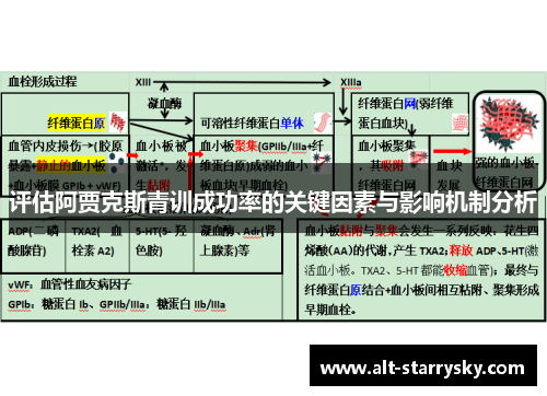 评估阿贾克斯青训成功率的关键因素与影响机制分析 评估阿贾克斯青训成功率的关键因素与影响机制分析